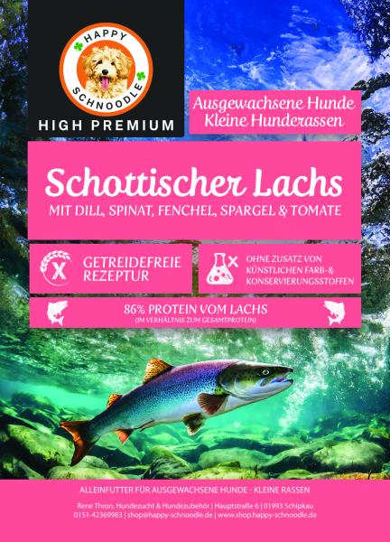 KLEINE RASSEN * Schottischer Lachs mit Dill, Spinat, Fenchel, Spargel